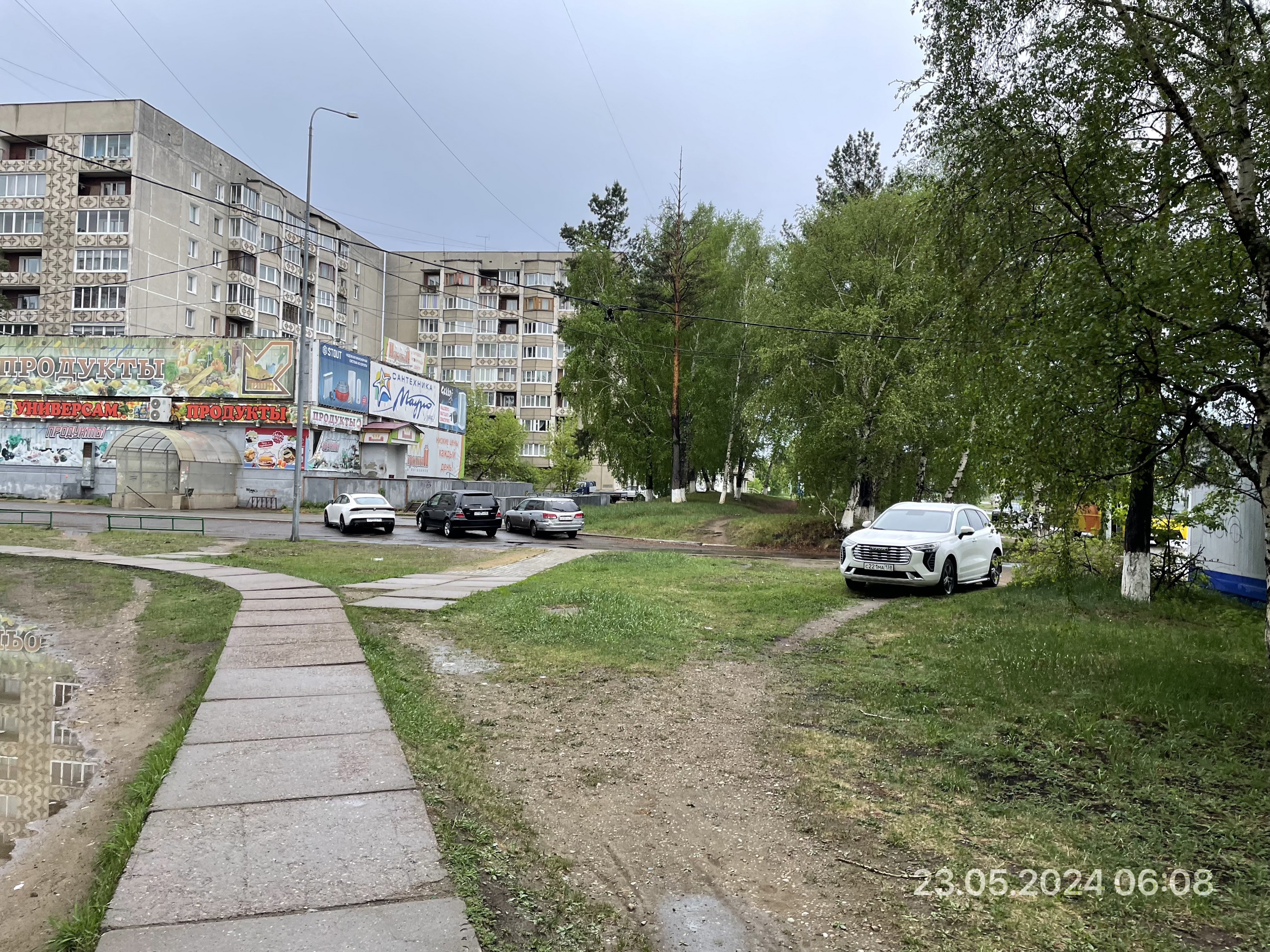 И снова самая знаменитая свинья нашего города