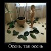 Осень