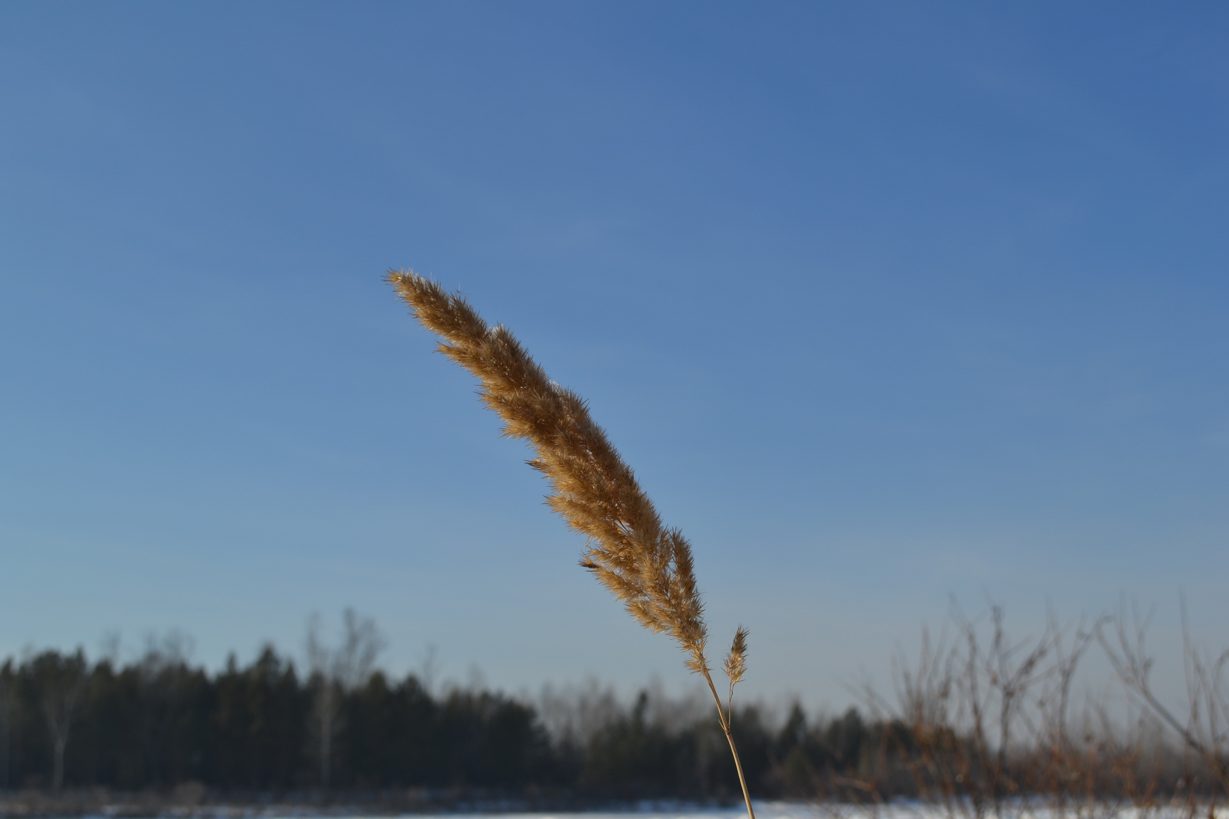 Деревянная прогулка))))))
