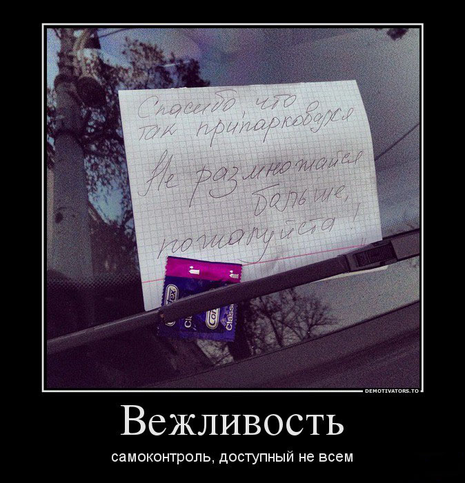 Вежливость