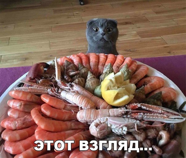 Этот взгляд