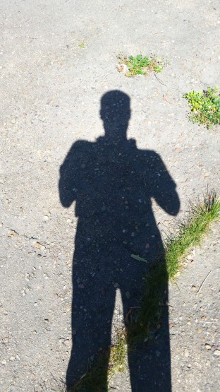 сирёгина тень асфальтотравяная)))))) сирёгина тень асфальтотравяная))))))