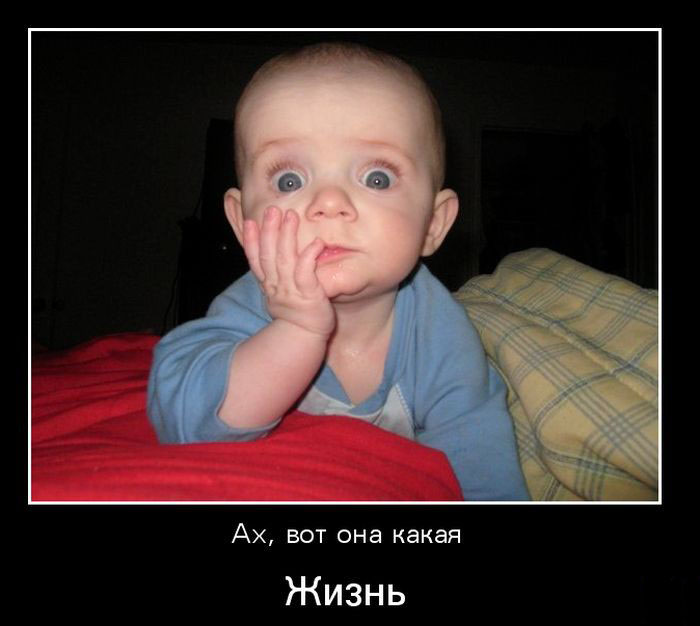 Жизнь