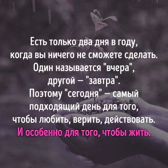 Сегодня