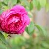 IMG 5409 IMG 5409