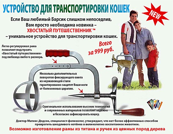 Устройство для транспортировки кошек