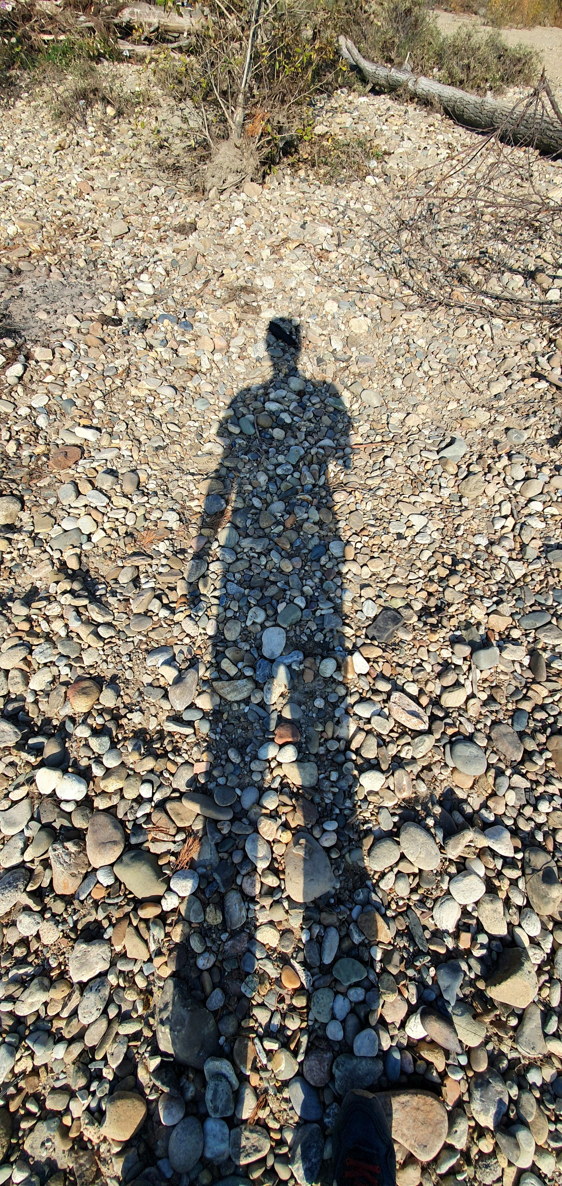 тень сирёгина длиннокаменнооднорукая))))))