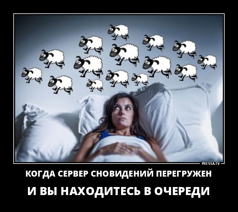 Очередь за сновидениями
