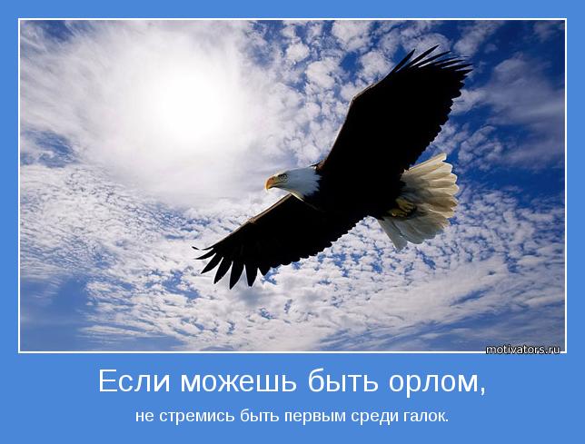 Если можешь быть орлом