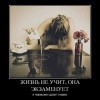Жизнь