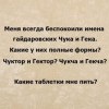 Чук и Гек