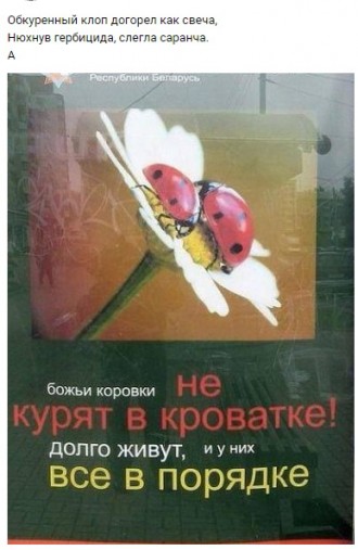 божые карофки))))))