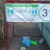 За дурновирусом мы практически не заметили такую замечательную весчь.