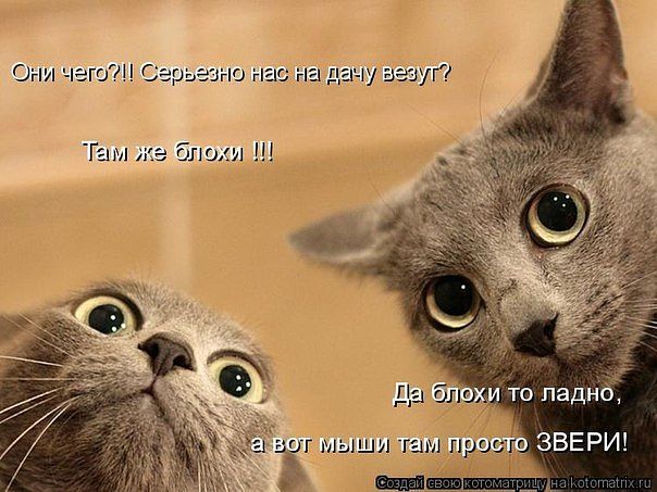 ООО