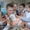 герой герой