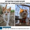 Кот Мостик