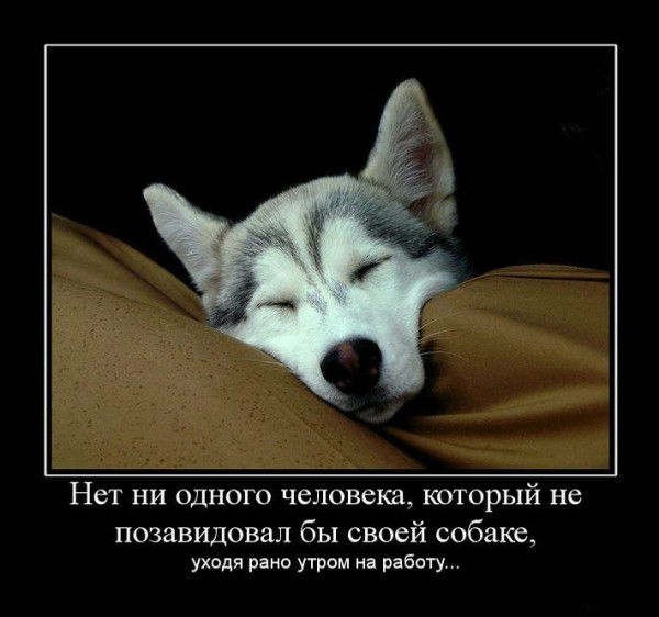 Зависть