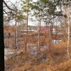 там ... у Расцвета))))) там ... у Расцвета)))))