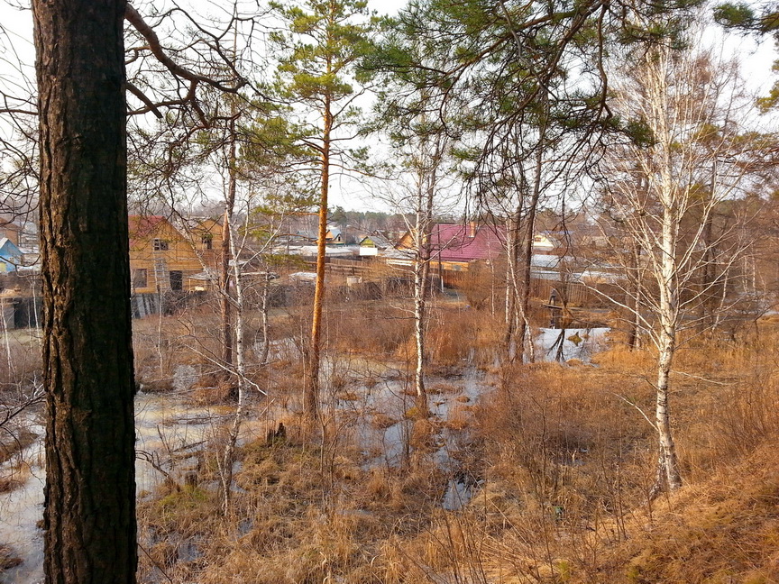 там ... у Расцвета)))))