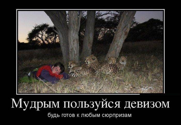 Мудрым...