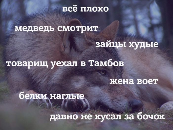 Всё плохо...