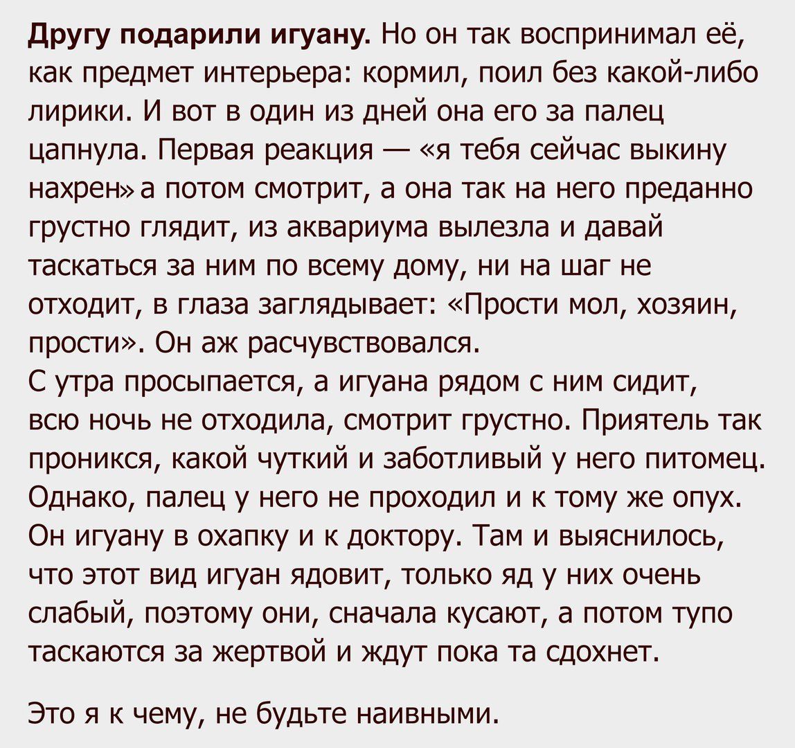 Игуана