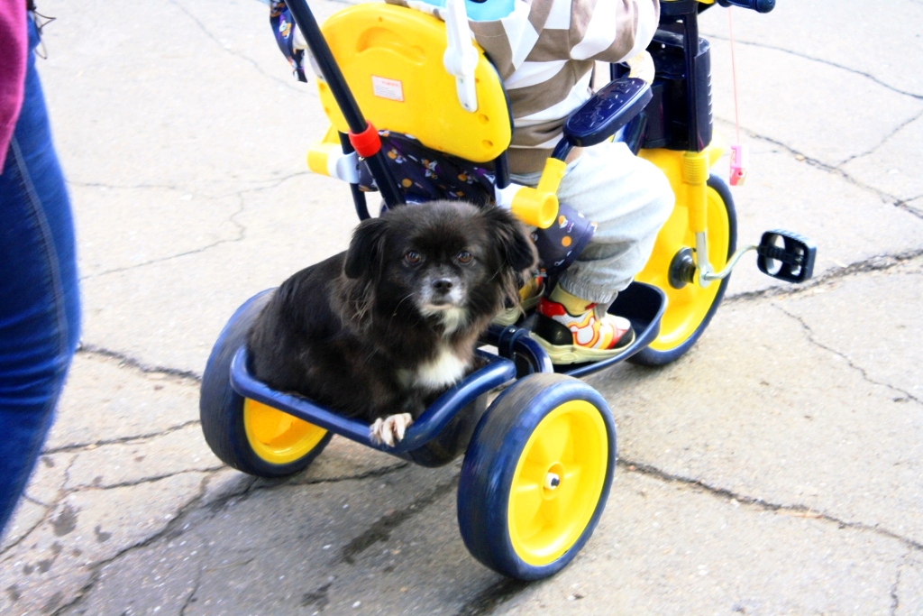 маленькие лапки нужно беречь ))