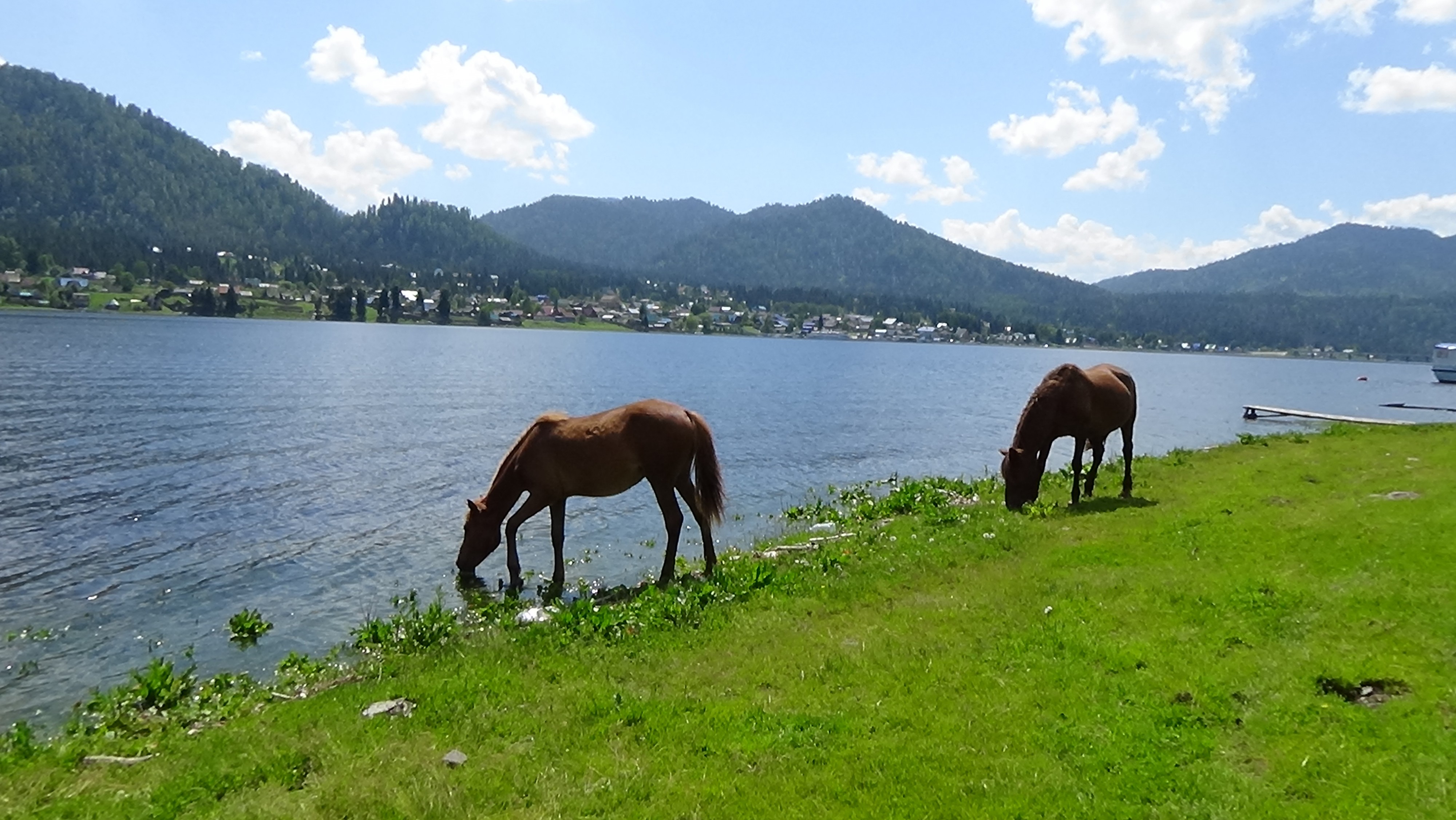 Озеро Телецкое. Алтай