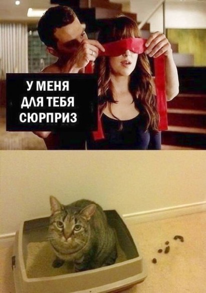 сюрприииииз)))))) сюрприииииз))))))
