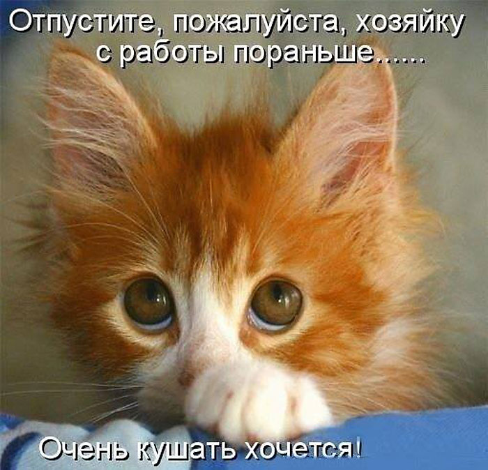 Просьба