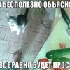 Ему,бесполезно объяснять