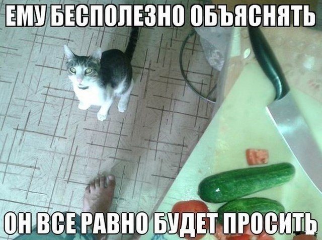 Ему,бесполезно объяснять