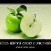 Найти половинку