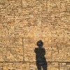 Тут Сирёга не пробегал? Тут Сирёга не пробегал?