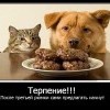 Терпение...