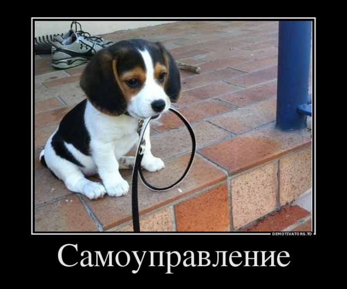 Самоуправление