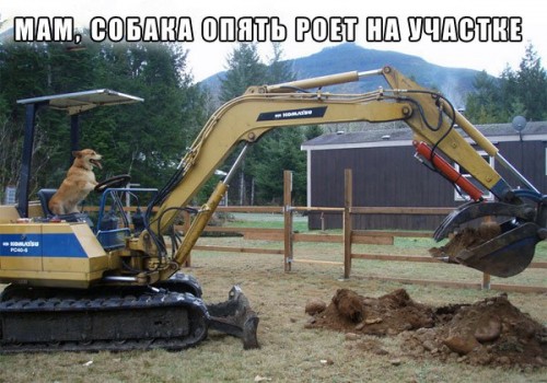 мам, собака роет)))))