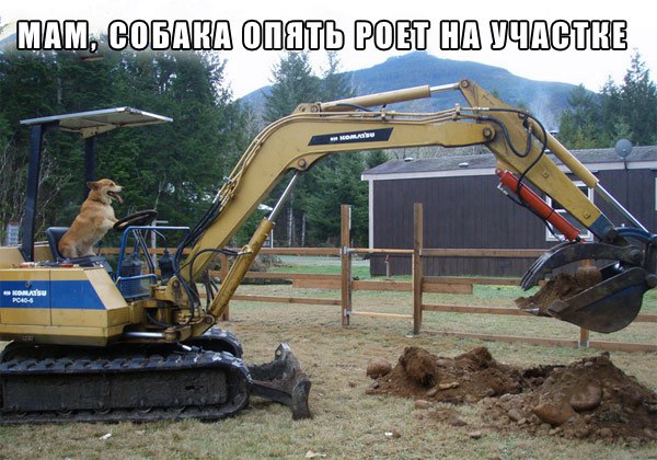 мам, собака роет)))))