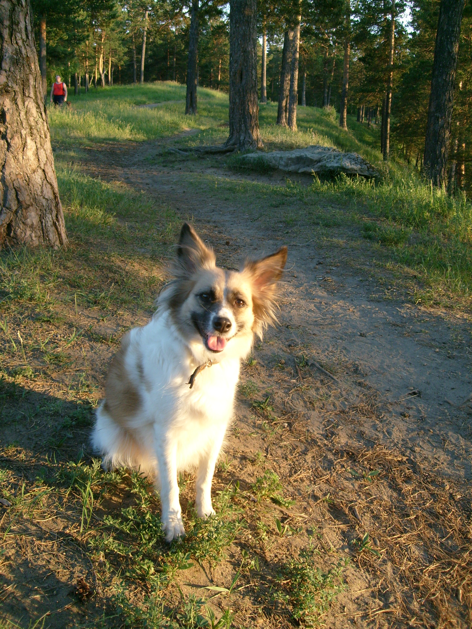 Прелесть, не правда ли?