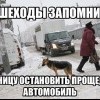 Пешеходы,запомните...