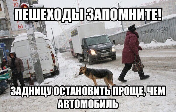 Пешеходы,запомните...