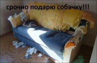 Срочно!))