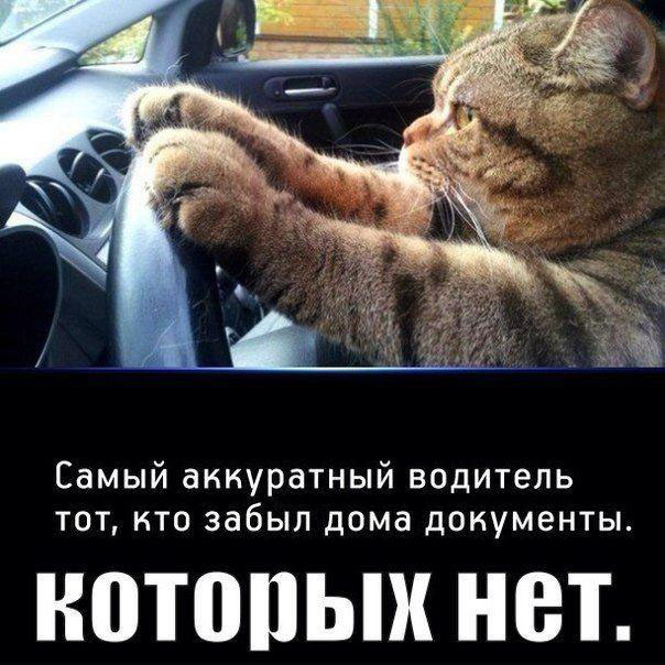 Забыл документы