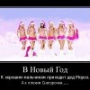 В Новый год В Новый год