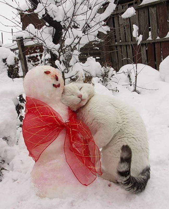 Снеговички:воспоминания..