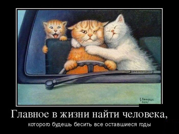 Главное в жизни...