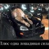 Лошадинная сила