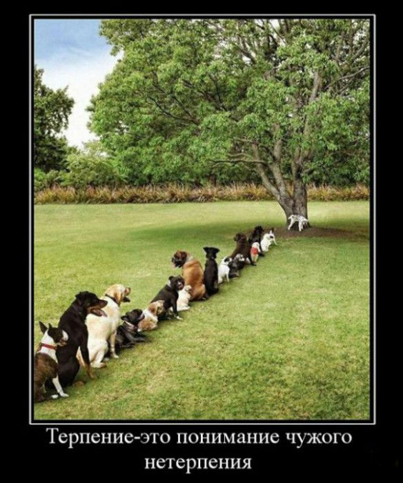 Терпение-это...
