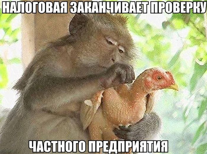 Налоговая
