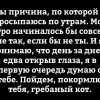 Котэ-причина